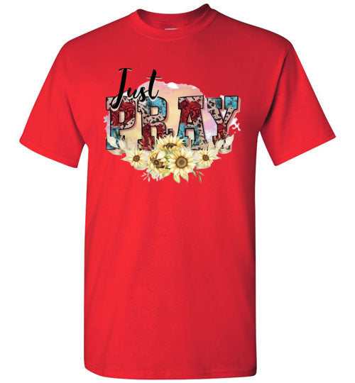 Just Pray Spiritual Christian Graphic Tee Shirt Top
