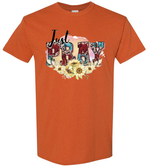 Just Pray Spiritual Christian Graphic Tee Shirt Top