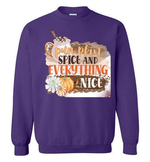 Pumpkin Spice and Everything Nice Graphic Sweatshirt Top