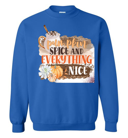 Pumpkin Spice and Everything Nice Graphic Sweatshirt Top